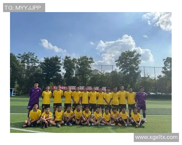 追逐梦想与荣耀的少年足球迷与明星的心灵碰撞